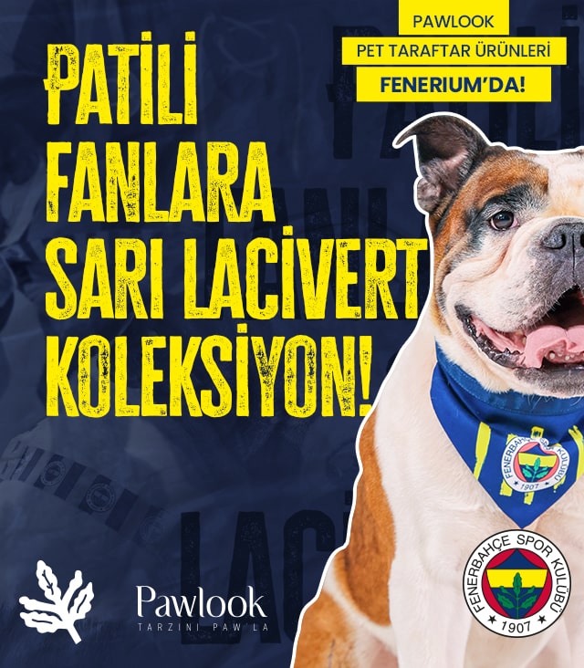 Pawlook banner