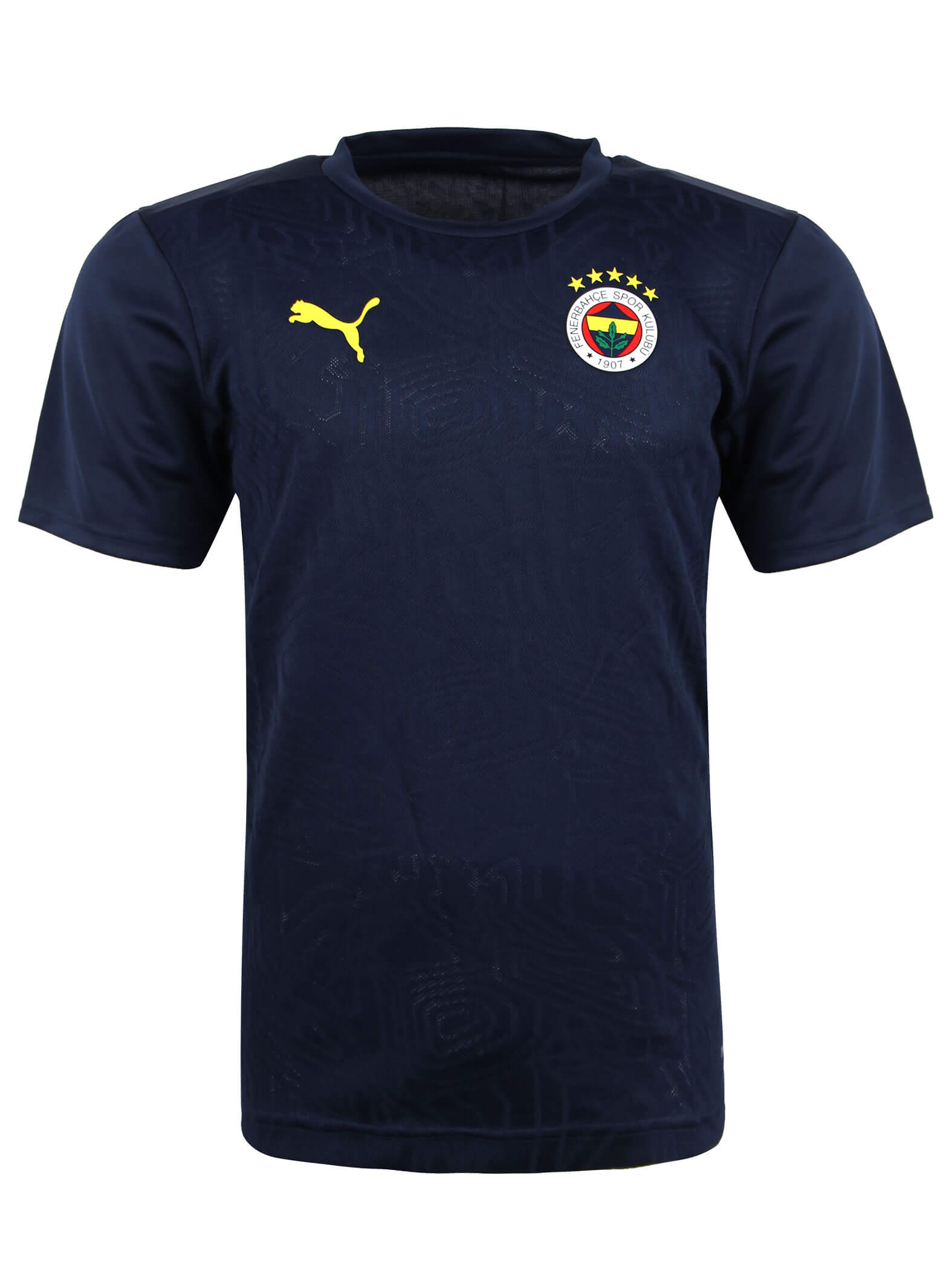 Fenerbahçe 2024/2025 A Takım Futbolcu Antrenman Tshirt