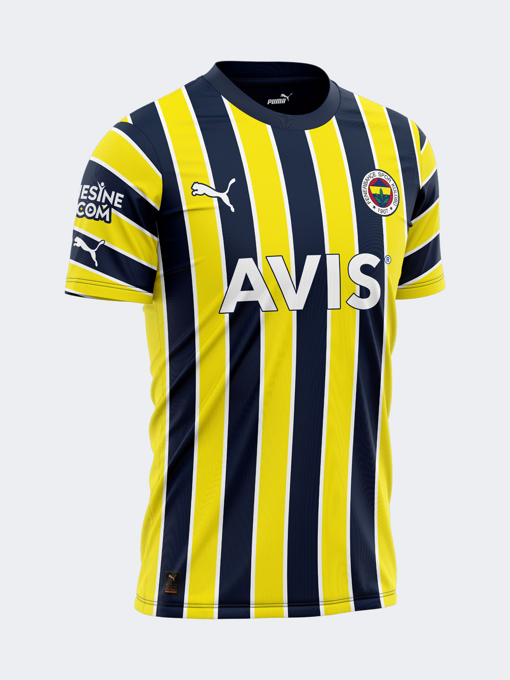 Fenerbahçe 2022 Çubuklu Forma