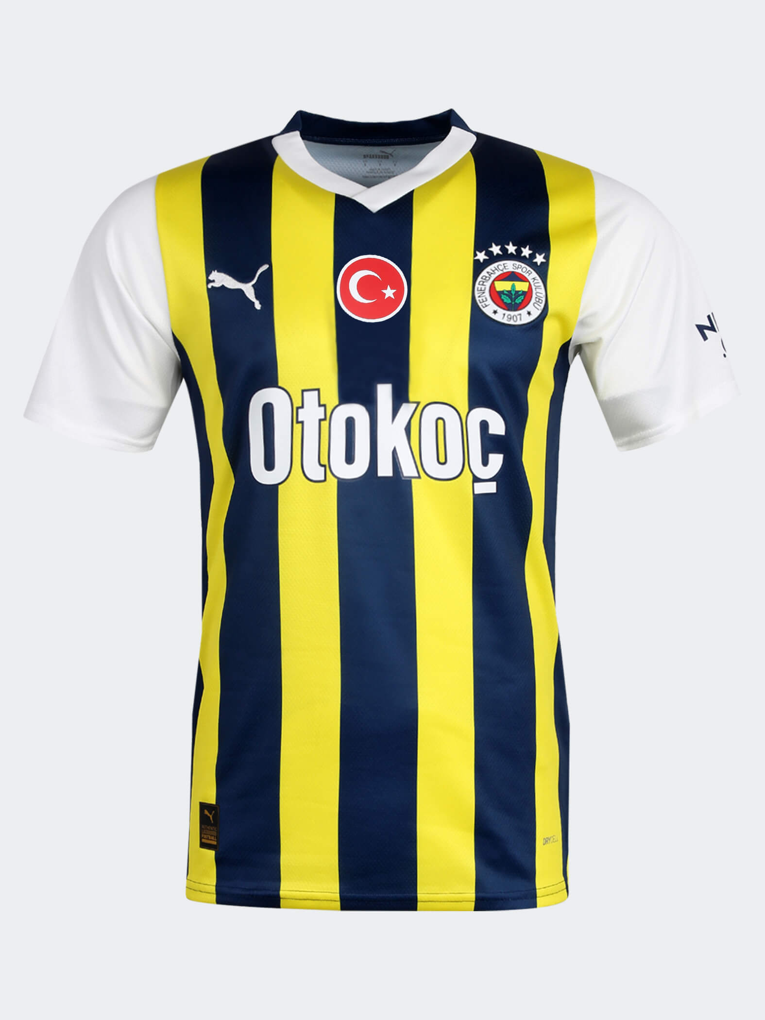 Fenerbahçe 2023 Çubuklu Forma