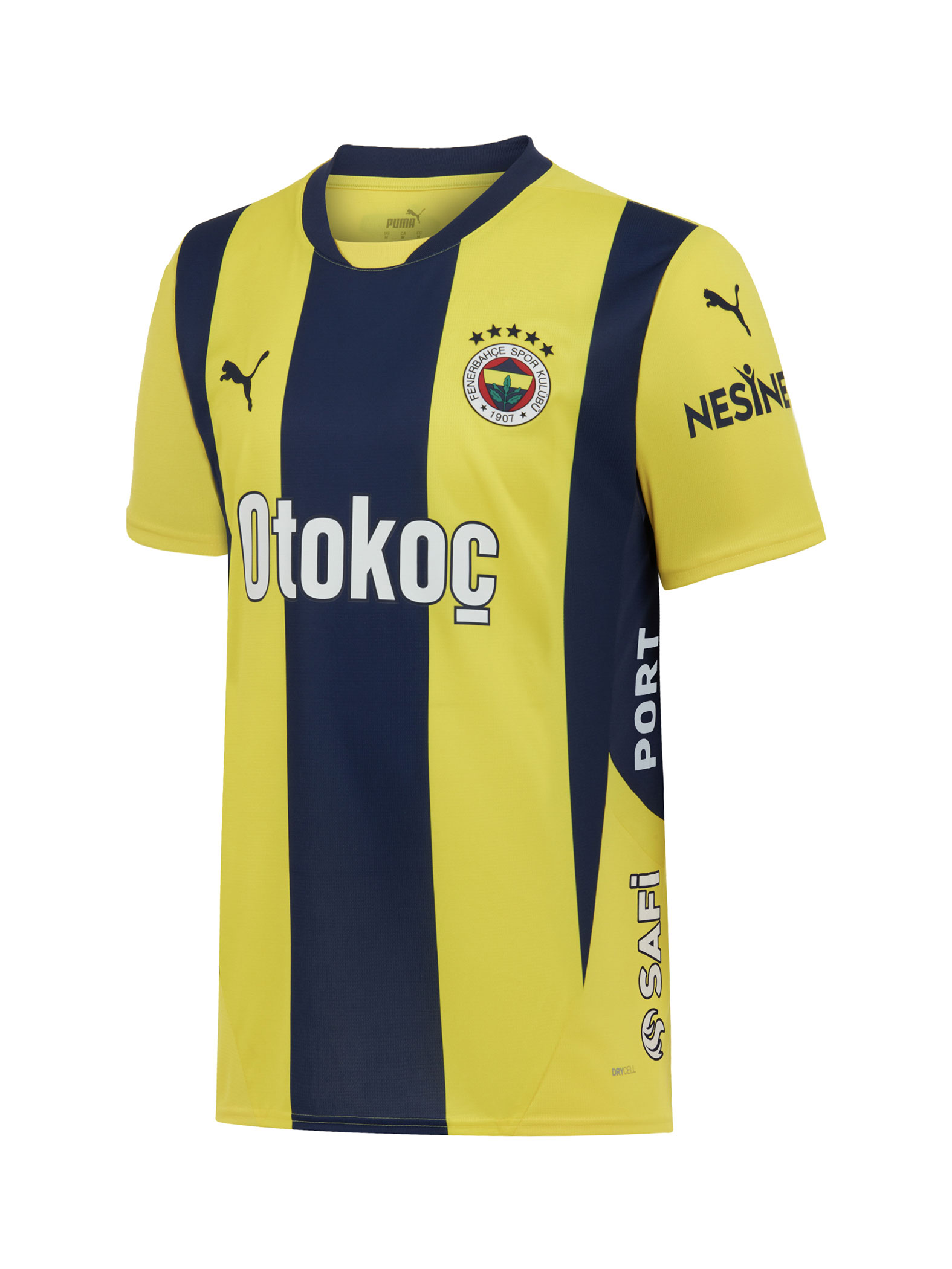 Fenerbahçe 2024 Barred Jersey